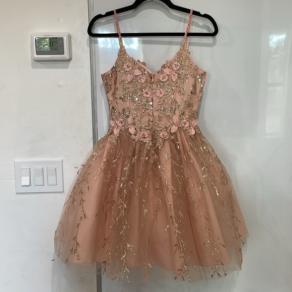 Dancing Queen Blush Pink Gold Embroidered Tulle Floral Mini Dress Size XS - Picture 8 of 16